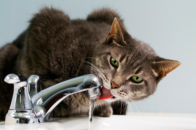 Water, Water Everywhere and Not a Drop to Drink